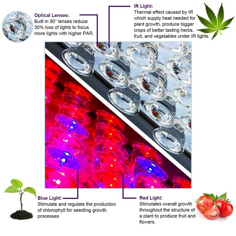 1000W LED Grow Light Lens Good For Indoor Grow Marijuana