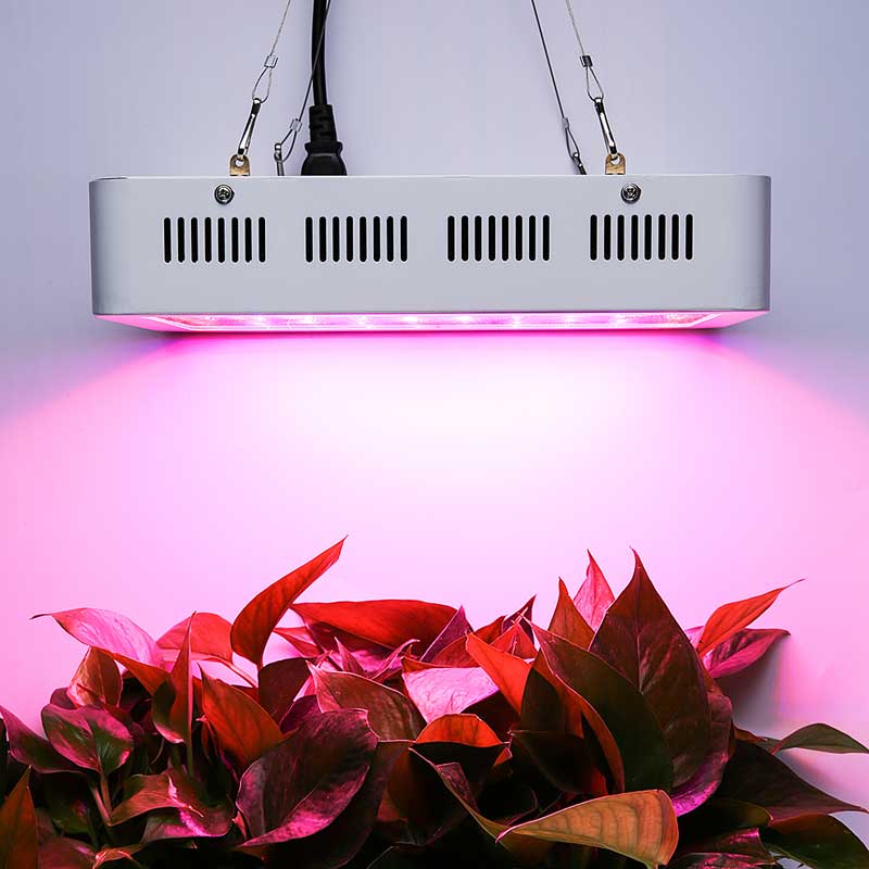 1000W LED Grow Light High Power For Growing Marijuana Indoor