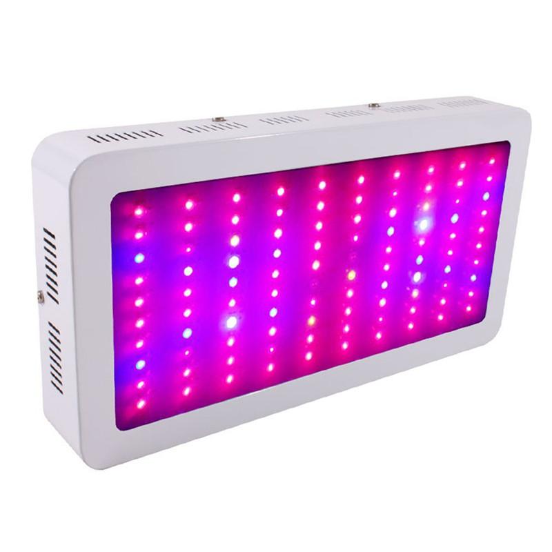 300W Indoor Garden LED Grow Light For Grow Plants