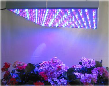 Brand New 45W LED Grow Lamp For Garden Plants Lighting