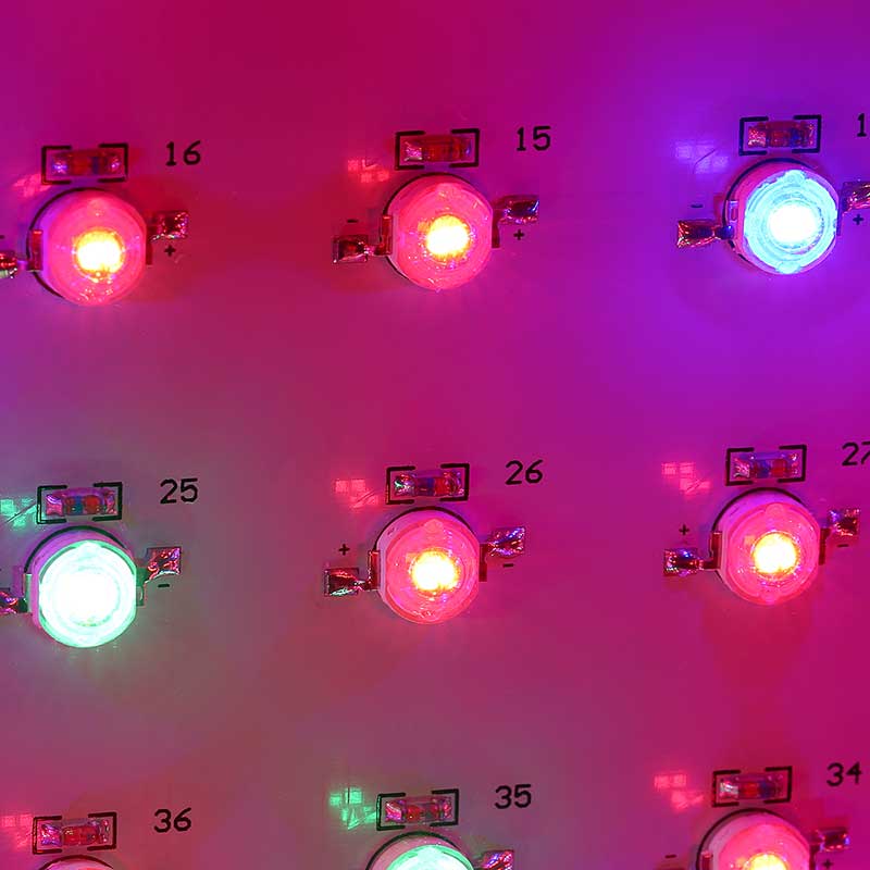 1200W LED Grow Plant Lights for Succulents Seedling