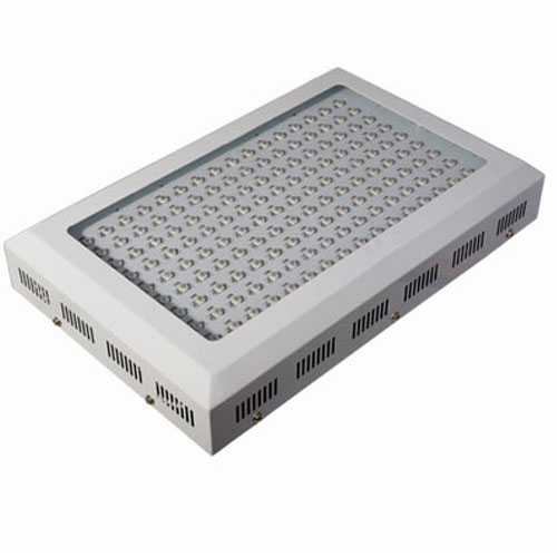 300W LED Greenhouse Growing Lights Perth