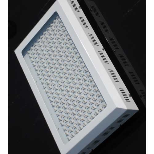 300W LED Greenhouse Growing Lights Perth