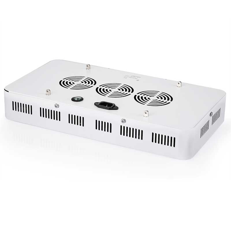 1500W LED Grow Light Hot Sale Hobart Tasmania