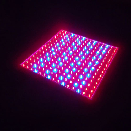 Cheap Price 14W LED Grow Lamp for Home Garden Plants