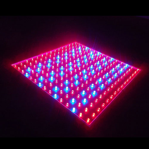 Cheap Price 14W LED Grow Lamp for Home Garden Plants