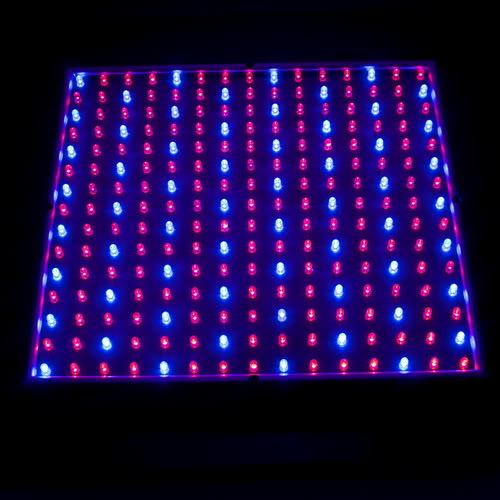 Cheap Price 14W LED Grow Lamp for Home Garden Plants