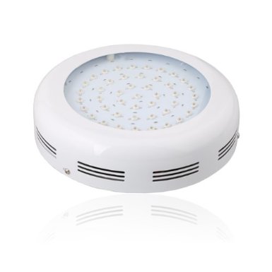 90W UFO LED Grow Light Sydney