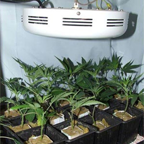 90W UFO LED Grow Light Sydney