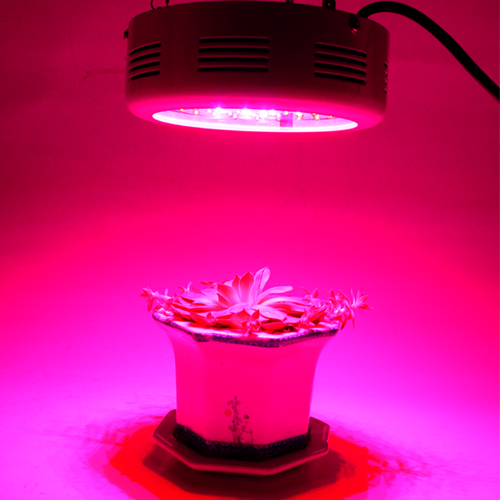 50W Mini UFO LED Grow Light For Indoor Hydroponics