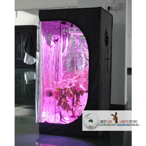 Non-Toxic Mylar Grow Tent Hot Sale In Australia 80x80x160cm