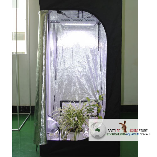 Non-Toxic Mylar Grow Tent Hot Sale In Australia 80x80x160cm