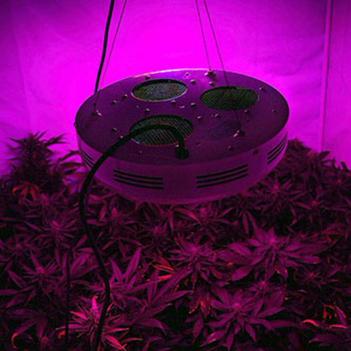 90W UFO LED Grow Lamp For Hydroponics system (Red + Blue)