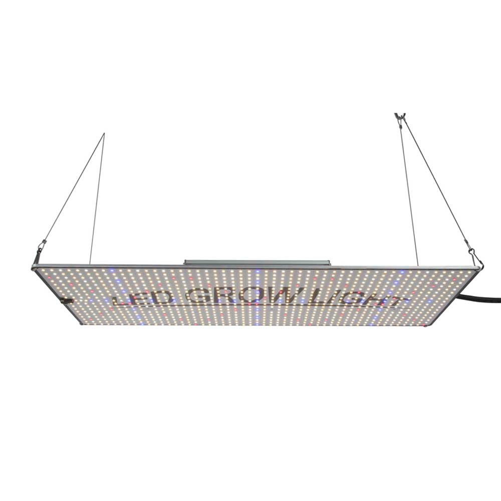 300W Samsung Quantum Grow Light LED For Hydroponic Garden