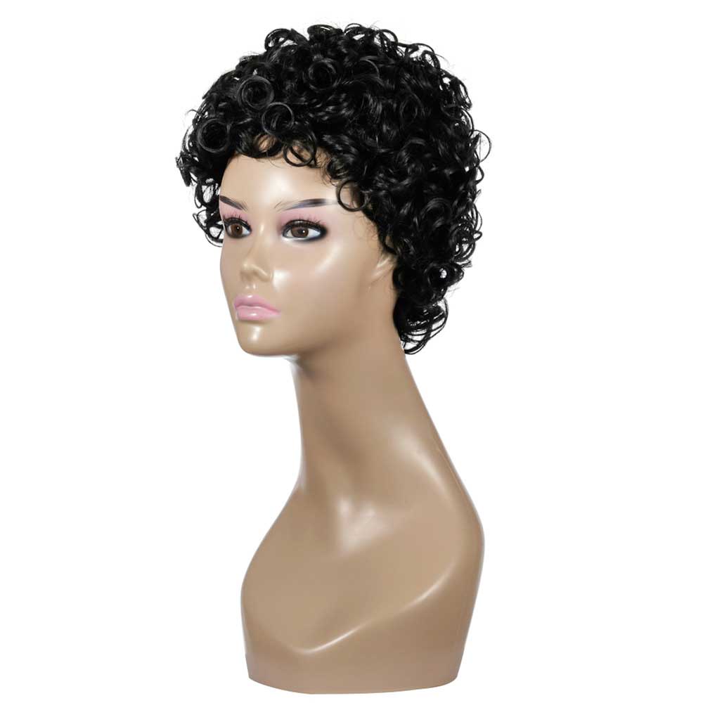 Curly Wigs for Black Women Short Kinky Curly Wig