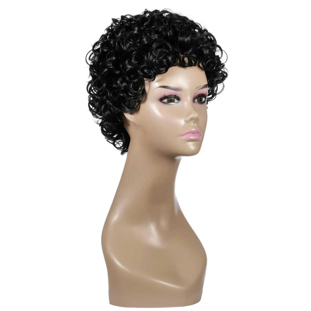 Curly Wigs for Black Women Short Kinky Curly Wig