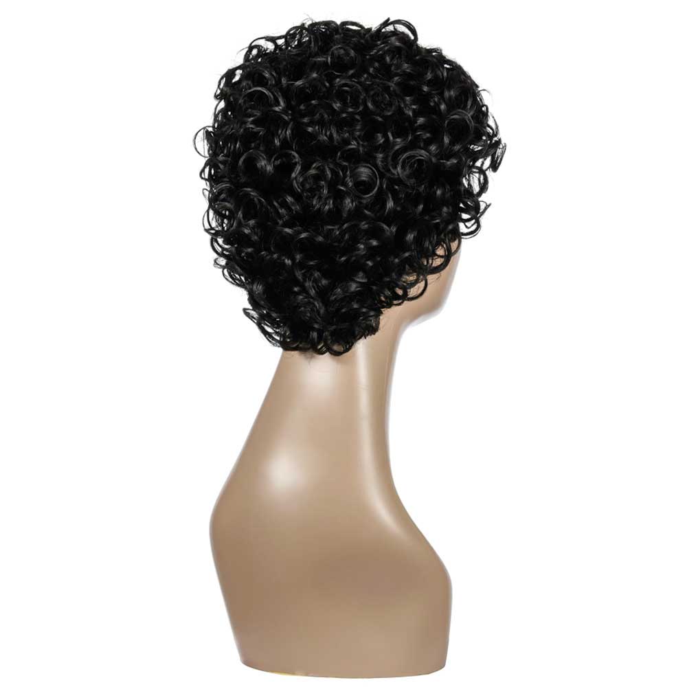 Curly Wigs for Black Women Short Kinky Curly Wig