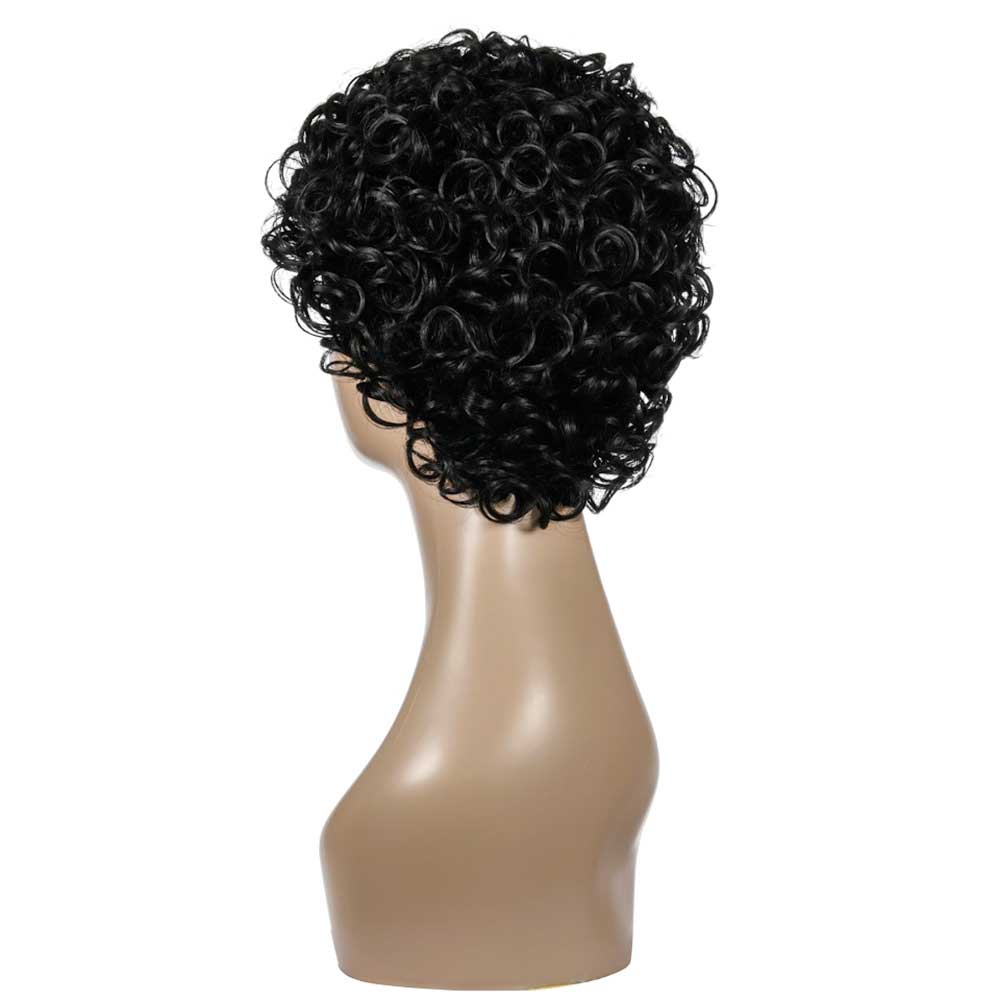 Curly Wigs for Black Women Short Kinky Curly Wig