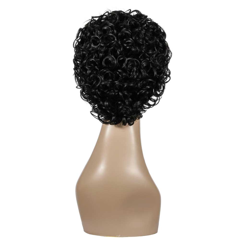 Curly Wigs for Black Women Short Kinky Curly Wig