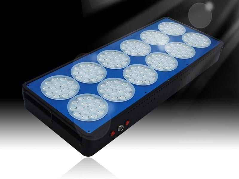 540W Apollo 12 LED Grow Lights For Growing Tomatoes potatoes