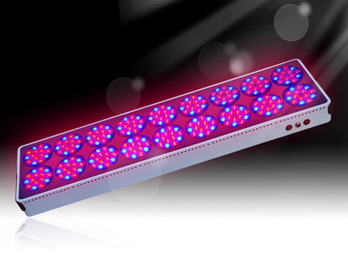 800w Apollo 18 LED Grow Light Hot Sale South Australia Adelaide