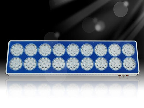 800w Apollo 18 LED Grow Light Hot Sale South Australia Adelaide