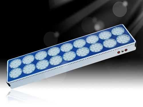 800w Apollo 18 LED Grow Light Hot Sale South Australia Adelaide