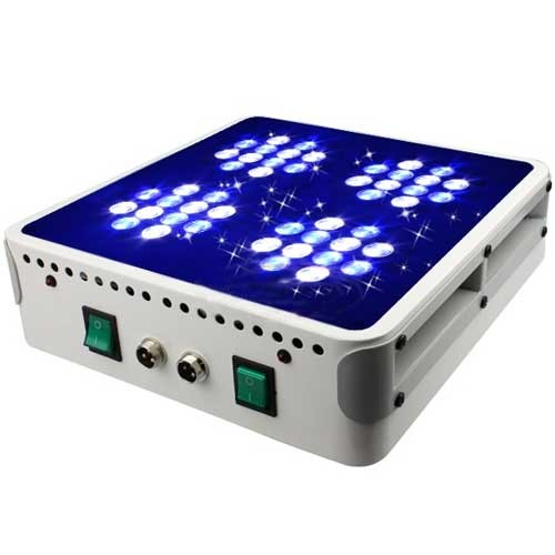 Apollo 4 LED Aquarium Lighting For Growing Coral Kits