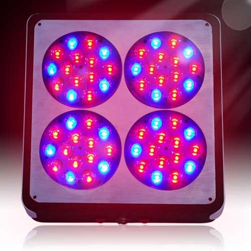 Apollo 4 LED Grow Light For Growing Marijuana Lights