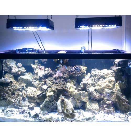 New Design Apollo 6 LED Aquarium Light