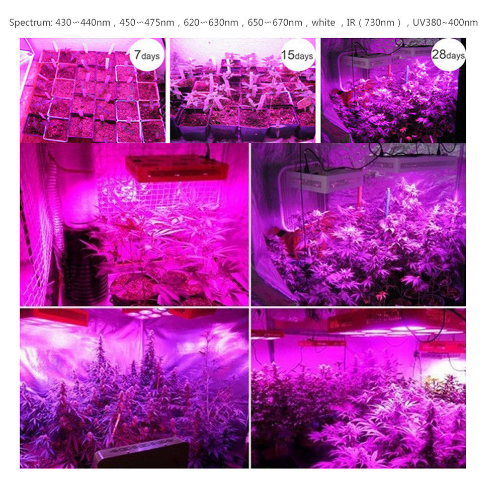 Apollo 18 Plus Super Bright LED Grow Light For Weed Garden