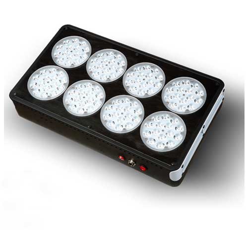 Full Spectrum Apollo 8 LED Indoor Gardening Lights Hot Sale NSW